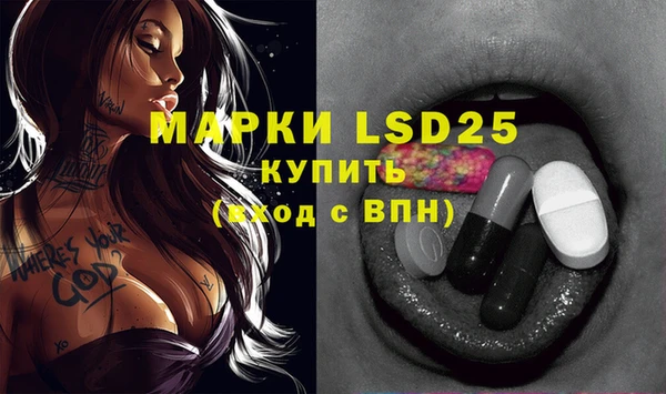 шишки Михайловка