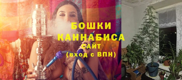 дурь Анива
